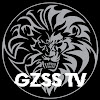 What could GZSS TV buy with $1.9 million?