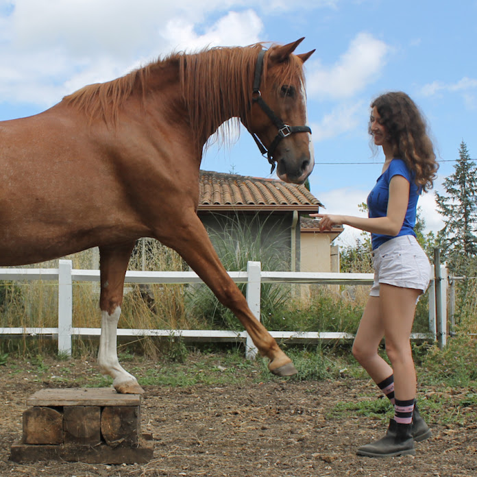 CAVALGRENA Net Worth & Earnings (2026)