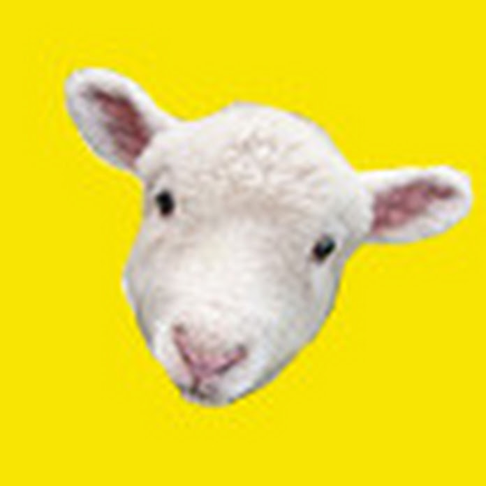 CANAL CABO CORDEIRO Net Worth & Earnings (2026)