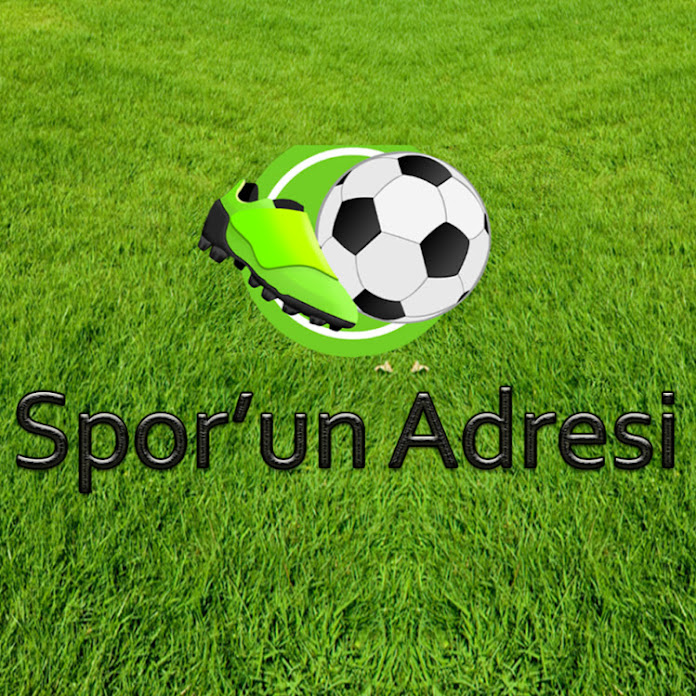 SporX Net Worth & Earnings (2026)