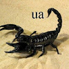 VasFar