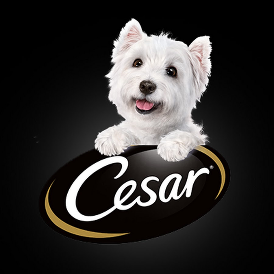 CESAR Canine Cuisine YouTube