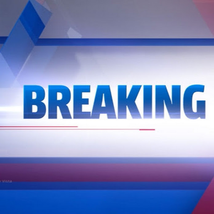 Chú Lùn Tv Net Worth & Earnings (2026)