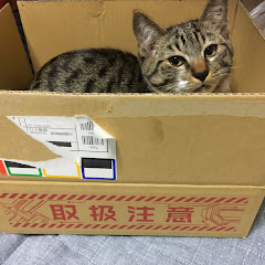 はまちゃんねる