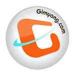 GimYong Net Worth