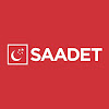 What could Saadet Partisi buy with $100 thousand?