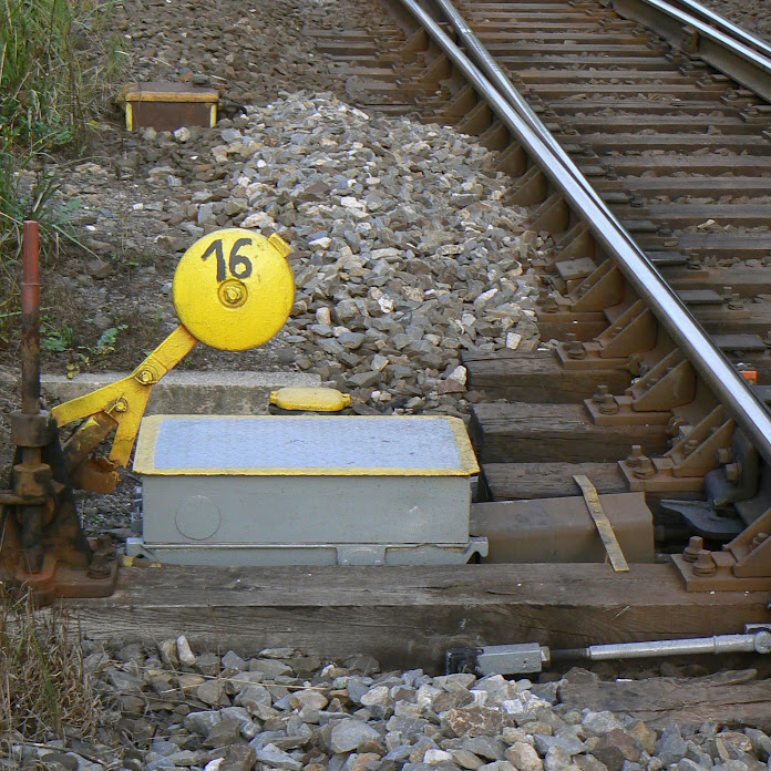 Roman Trojek Net Worth & Earnings (2026)