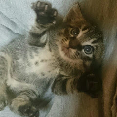 きょうち