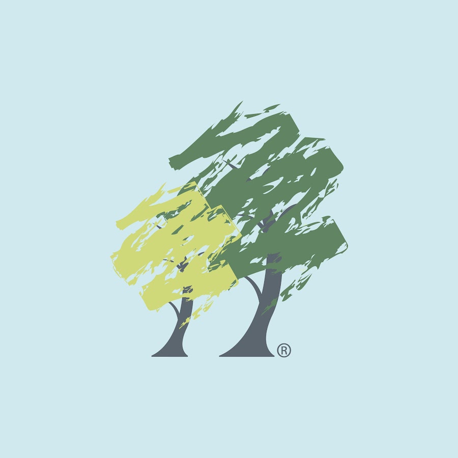 The Kim Foundation YouTube