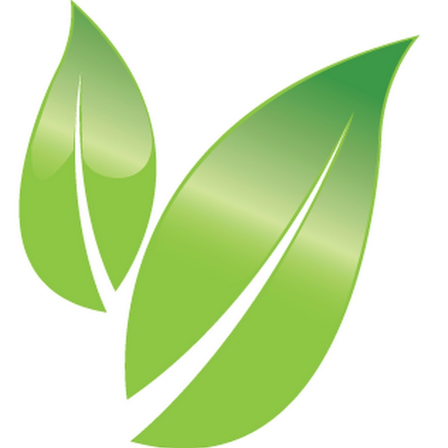 New Leaf Wellness YouTube