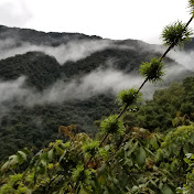 SUNSHINE STUDIOS INC - Channel 