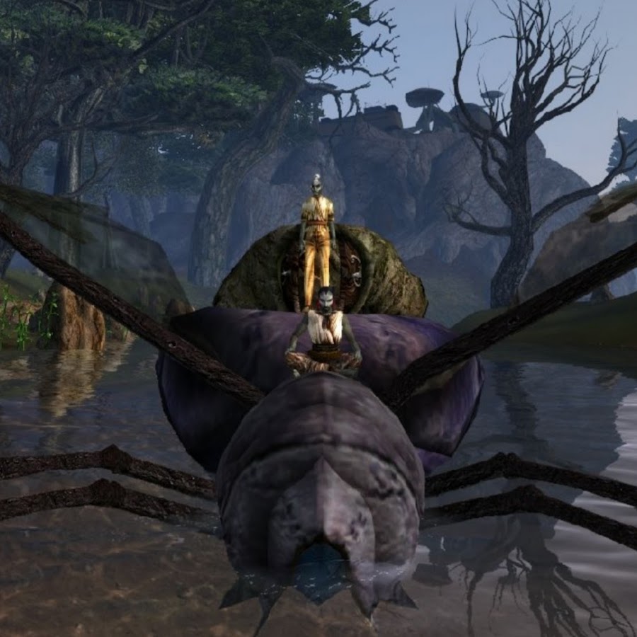 Morrowind Where Are All The Birds Going