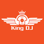 DJ King Net Worth