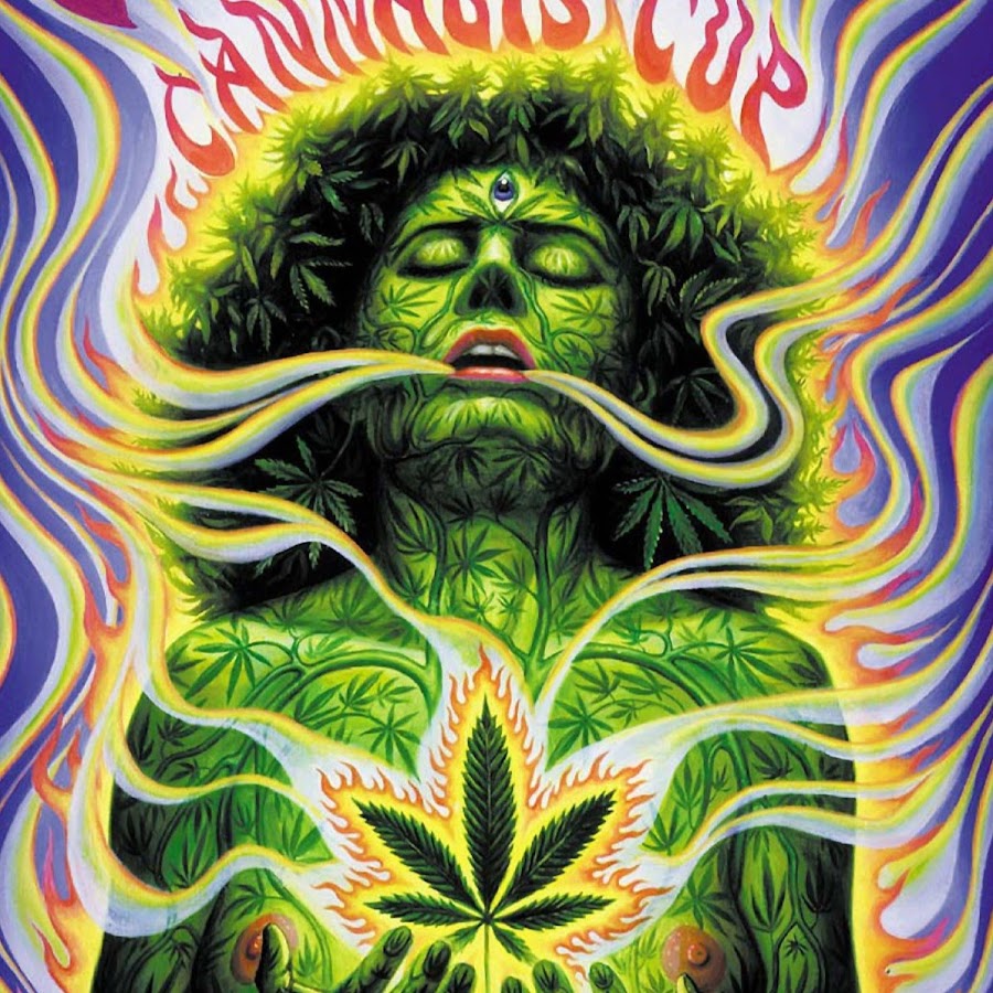 марихуана в арамболе