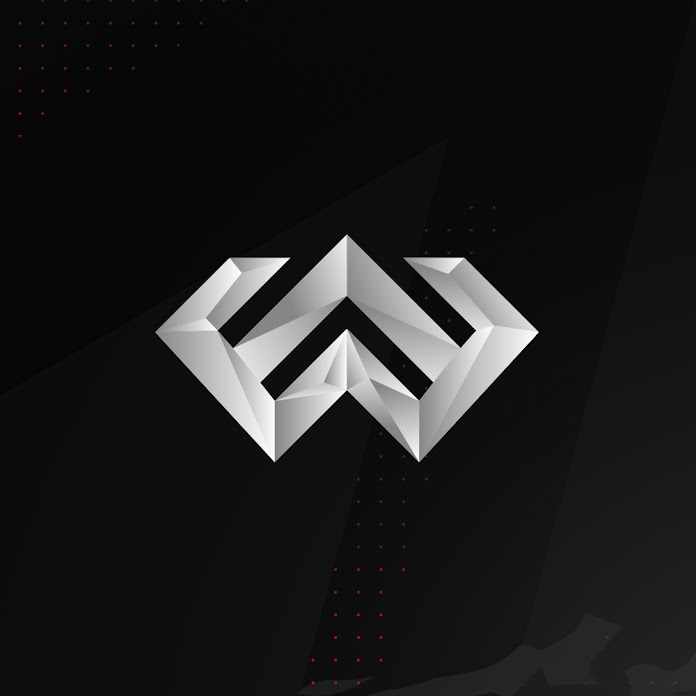 WFZ GAMER Net Worth & Earnings (2026)