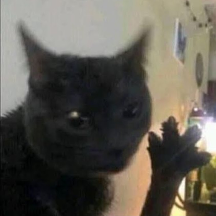 Amazonite 7XG Net Worth & Earnings (2026)