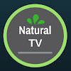 What could Natural TV - Receitas e Dicas de Saúde buy with $100 thousand?