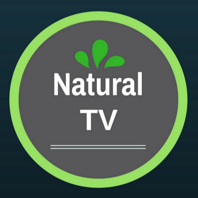 Natural TV - Receitas e Dicas de Saúde Net Worth & Earnings (2024)