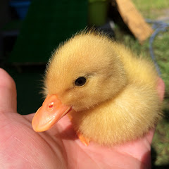 保雄さんちゃん寝る