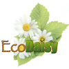 What could EcoDaisy buy with $100 thousand?