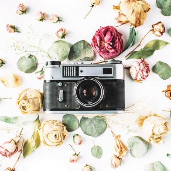 Анна Литвинова Net Worth & Earnings (2026)