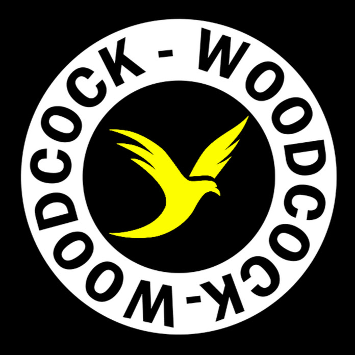 WoodCock Net Worth & Earnings (2024)