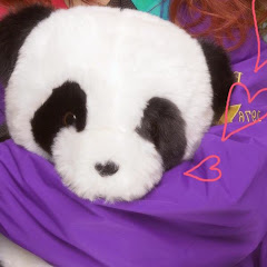 Kumacくましー Youtube Channel Statistics Online Video Analysis Vidooly