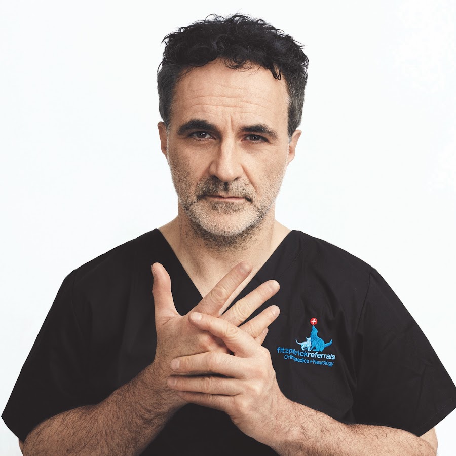 Professor Noel Fitzpatrick YouTube