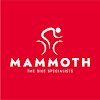 What could Mundo Mammoth buy with $115.4 thousand?