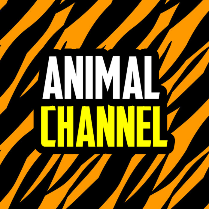Animal Channel Net Worth & Earnings (2022)