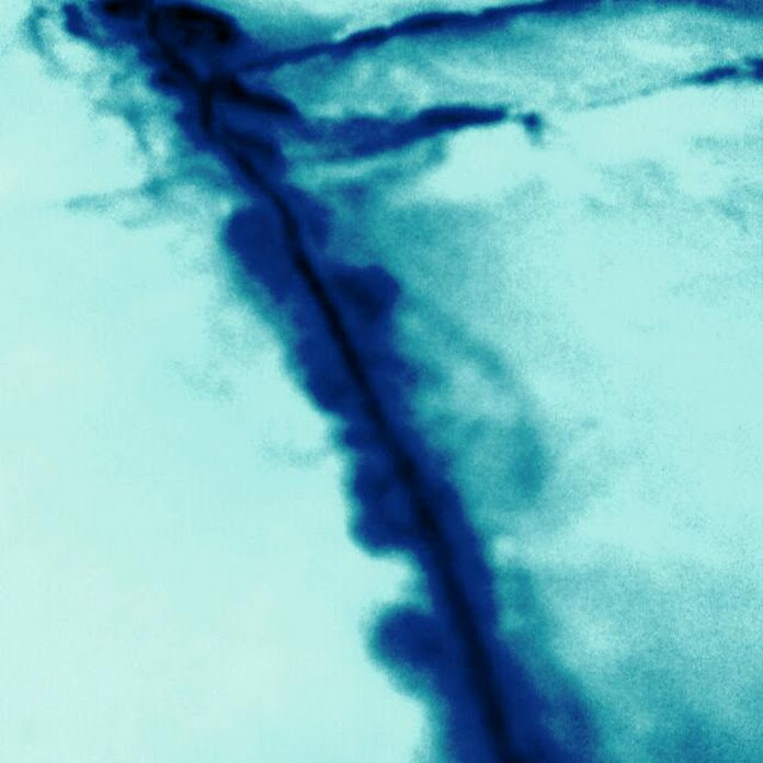 jmortiz77 Net Worth & Earnings (2025)