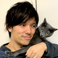 ねこほうの日常