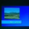 wwwprgrmrnet