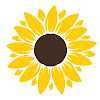 sunflower093