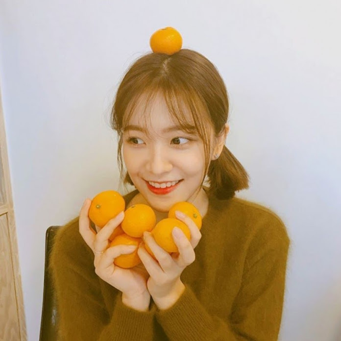 신비한 잡동사전 Net Worth & Earnings (2026)