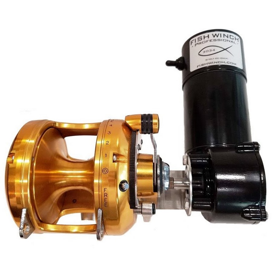 Electric Fishing Reels YouTube