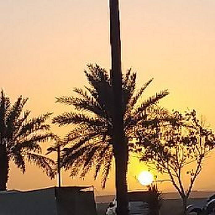 قناة الساحة الفضائية Net Worth & Earnings (2026)