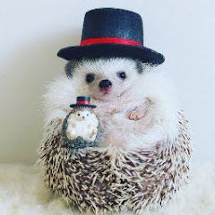 ベアプリン