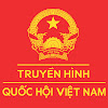 What could TRUYỀN HÌNH QUỐC HỘI VIỆT NAM buy with $251.8 thousand?