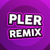 What could PLER REMIX buy with $100 thousand?