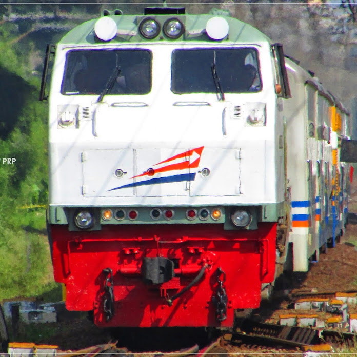 Hamid Railfans PRP Net Worth & Earnings (2026)