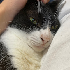 閲覧注意動画TV