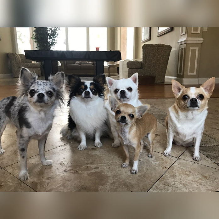 Cheeky Chis Net Worth & Earnings (2026)