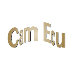 Cam Ecu