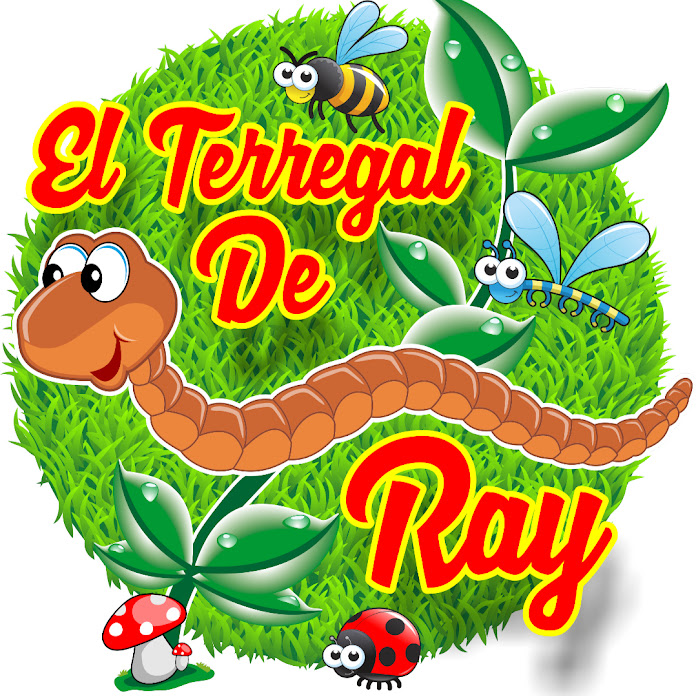 EL TERREGAL DE RAY Net Worth & Earnings (2026)