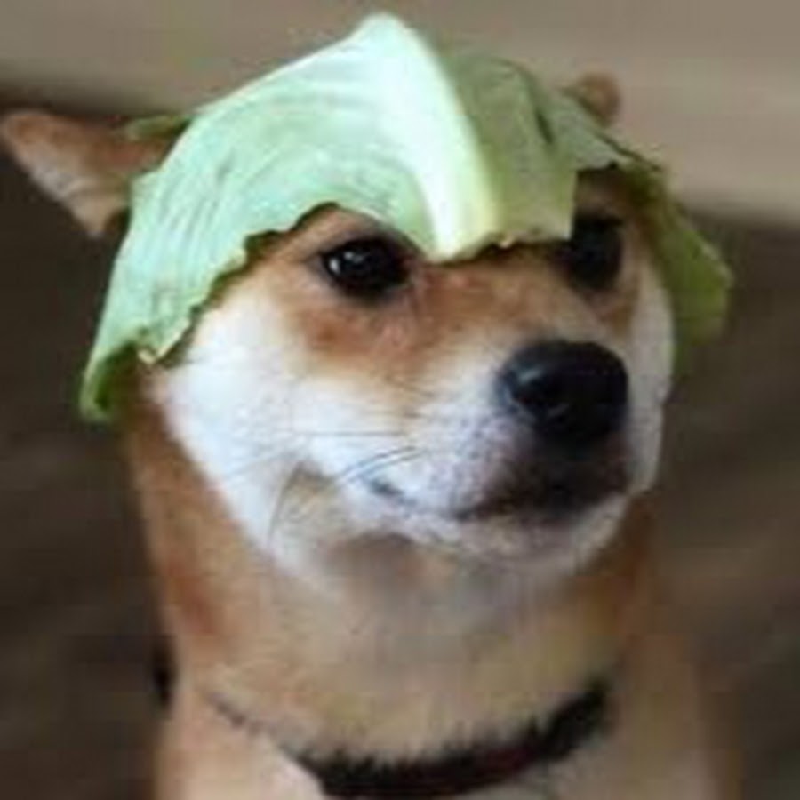 Lieutenant Lettuce YouTube