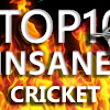 What could TOP10 INSANE - Cricket buy with $100 thousand?