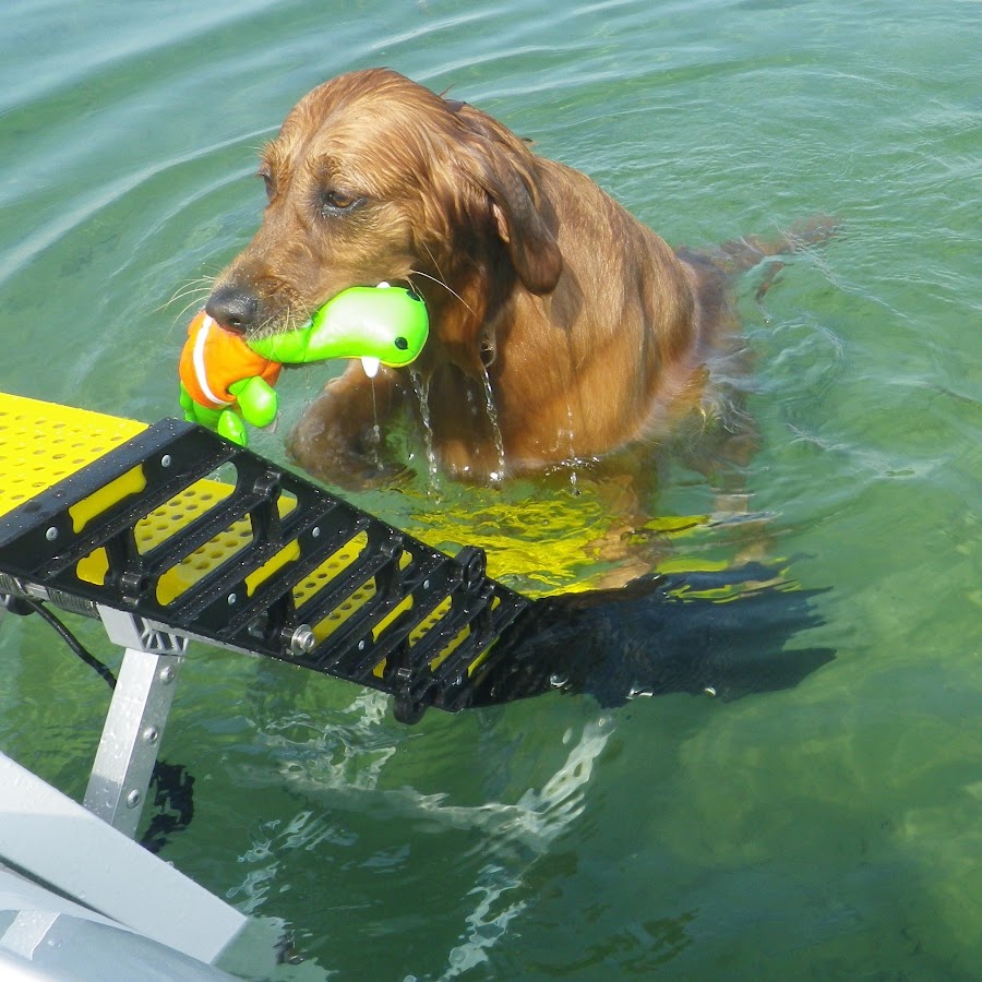 WaterDog Adventure Gear™ YouTube