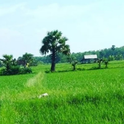 Ragam Video Malaysia Vlip Miglv