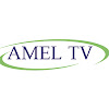 What could AMEL TV buy with $803.25 thousand?